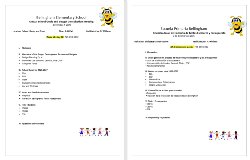 Annual School Goals and Budget Consultation